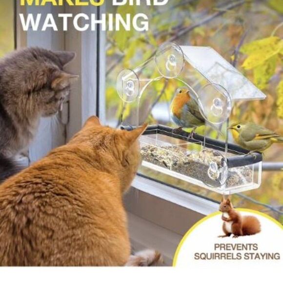 Entirely Zen Window Bird Feeder - All Weather Clear Acrylic Bird Feeder - Picture 3 of 6